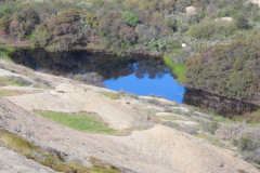 DSCN3728_resize