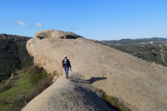 DSCN3729_resize