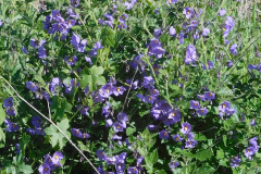 DSCN3731_resize
