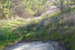 DSCN3734_resize