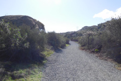 DSCN3737_resize