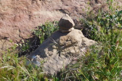 DSCN3740_resize