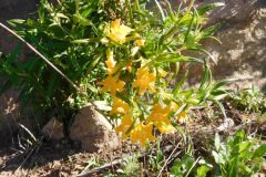 DSCN3741_resize