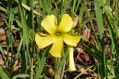 DSCN3753_resize