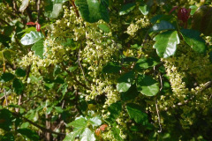 DSCN3754_resize