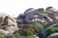DSCN3758_resize