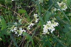 DSCN3759_resize