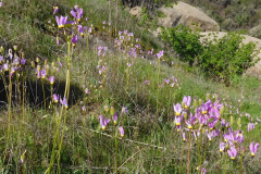 DSCN3769_resize