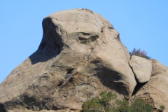 DSCN3772_resize