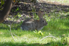 DSCN3777_resize