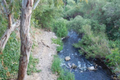 DSCN2577_resize