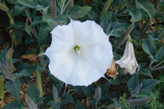 DSCN2579_resize