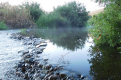 DSCN2580_resize