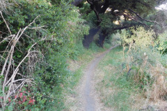DSCN2585_resize
