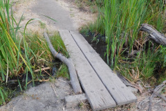 DSCN2590_resize
