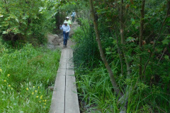 DSCN2601_resize