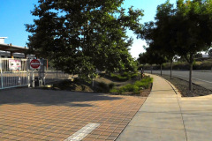DSCN2610_resize