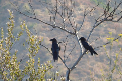 DSCN2616_resize