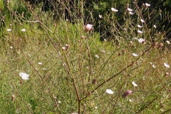 DSCN2621_resize