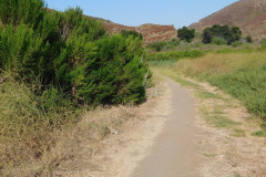 DSCN2623_resize