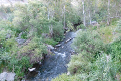 DSCN4073_resize