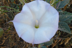 DSCN4074_resize