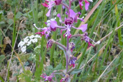 DSCN4075_resize