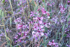 DSCN4077_resize