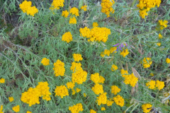 DSCN4078_resize