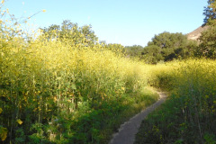 DSCN4081_resize