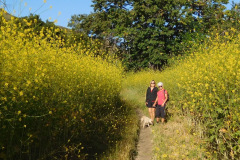 DSCN4082_resize