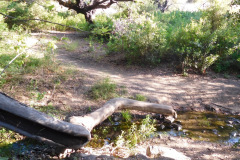 DSCN4083_resize