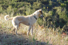 DSCN4091_resize