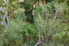 DSCN4604_resize
