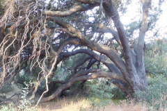 DSCN4606_resize
