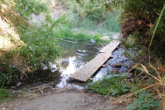 DSCN4612_resize
