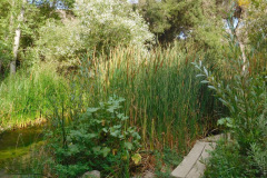 DSCN4619_resize
