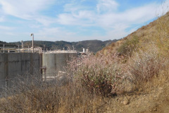 DSCN4620_resize