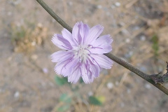 DSCN4622_resize