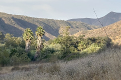 IMG_3972_resize