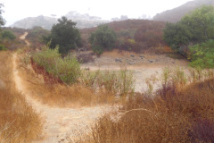 DSCN3104_resize
