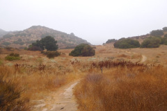 DSCN3108_resize