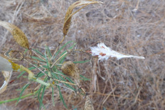 DSCN3109_resize