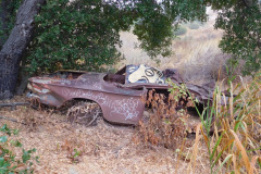 DSCN3118_resize