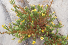 DSCN3119_resize