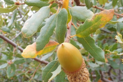 DSCN3121_resize