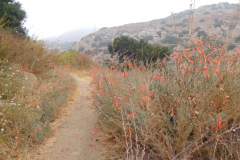 DSCN3122_resize