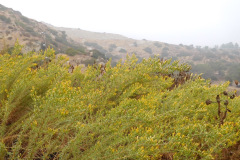 DSCN3126_resize