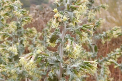 DSCN3128_resize