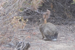 DSCN4836_resize